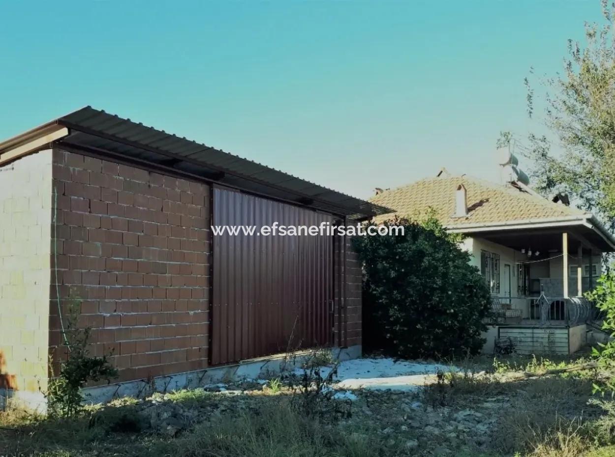 Tepearasında Satılık Kelepir Portakal Bahçesi