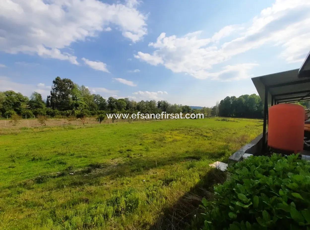 Köyceğiz Yangıda Ana Yola Sıfır Satılık Yatırıma Uygun Kelepir Arazi