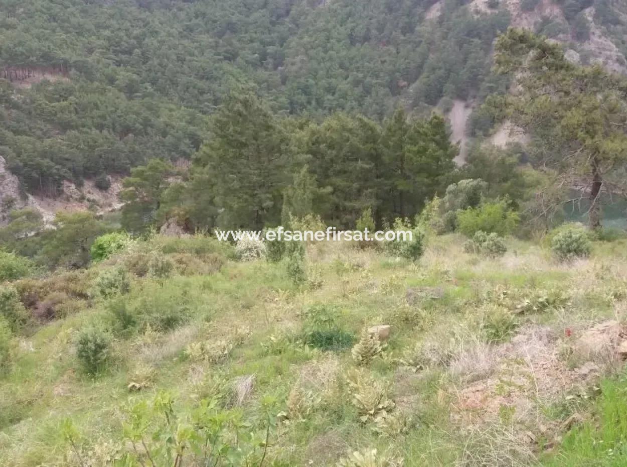 Dalaman Bozbelde Satılık Baraj Gölü Manzaralı Tarla