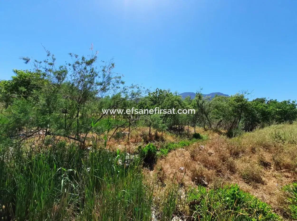 Muğla Ortaca Dalyanda Kanala Sıfır 6 500 M2 Hisseli Tapulu Arazi Satılık