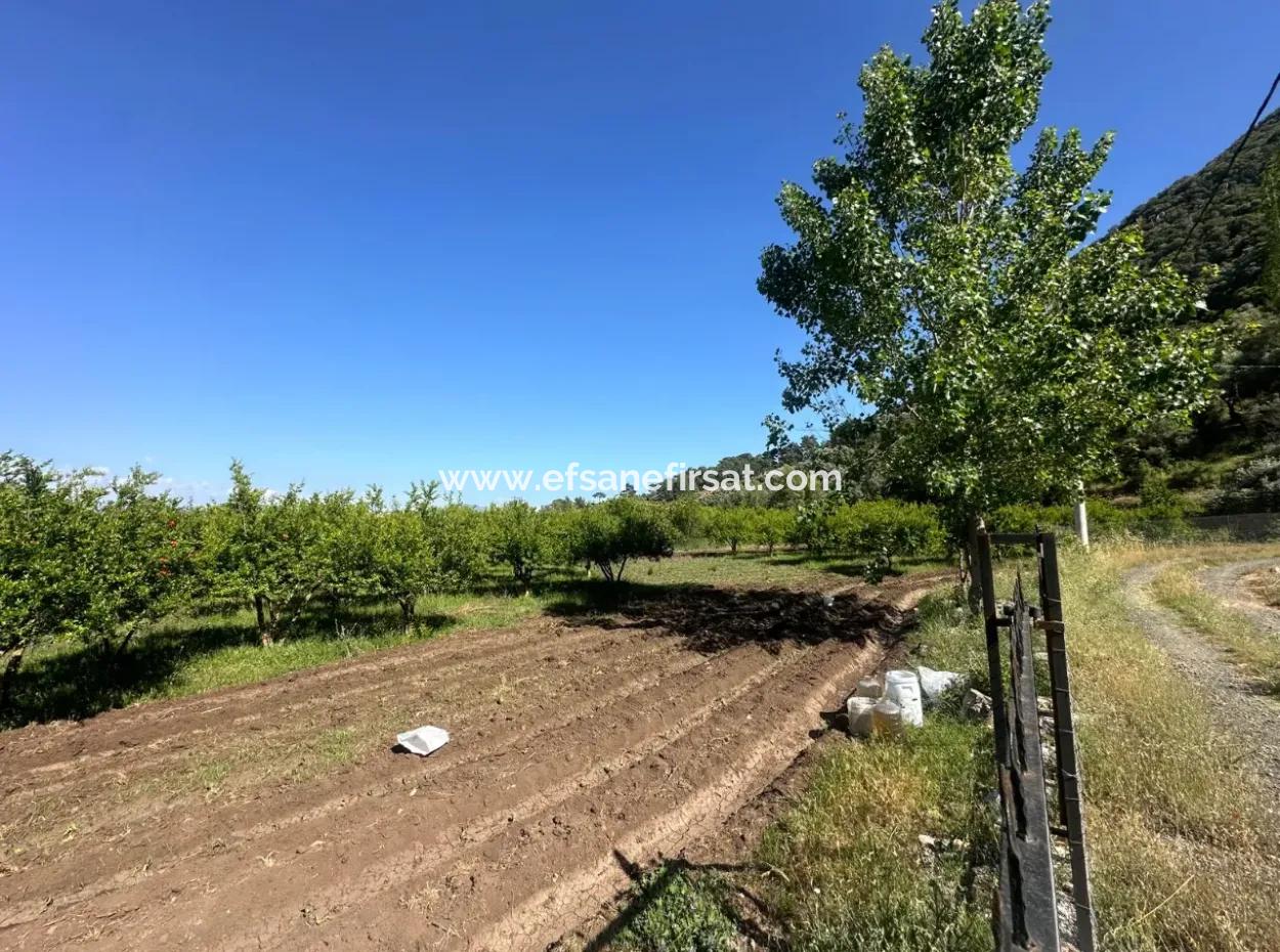 Ortaca Mergenlide Dağ Kenarında, 1 700 M2 İmarlı Kelepir Arsa Satılık