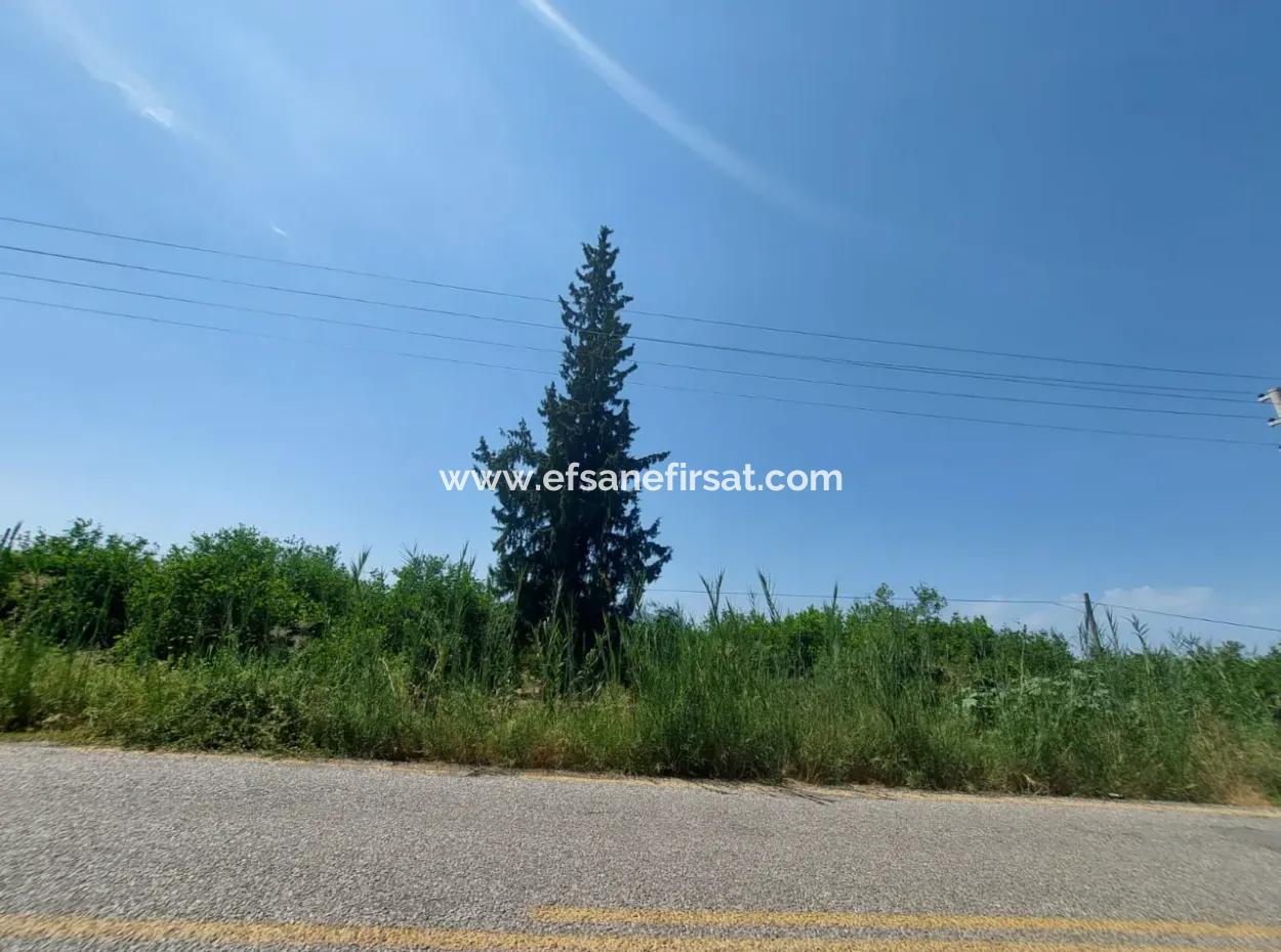 Muğla Ortaca Ekşiliyurtta Yola Sıfır 7. 000 M2 Limon Bahçesi Satılık