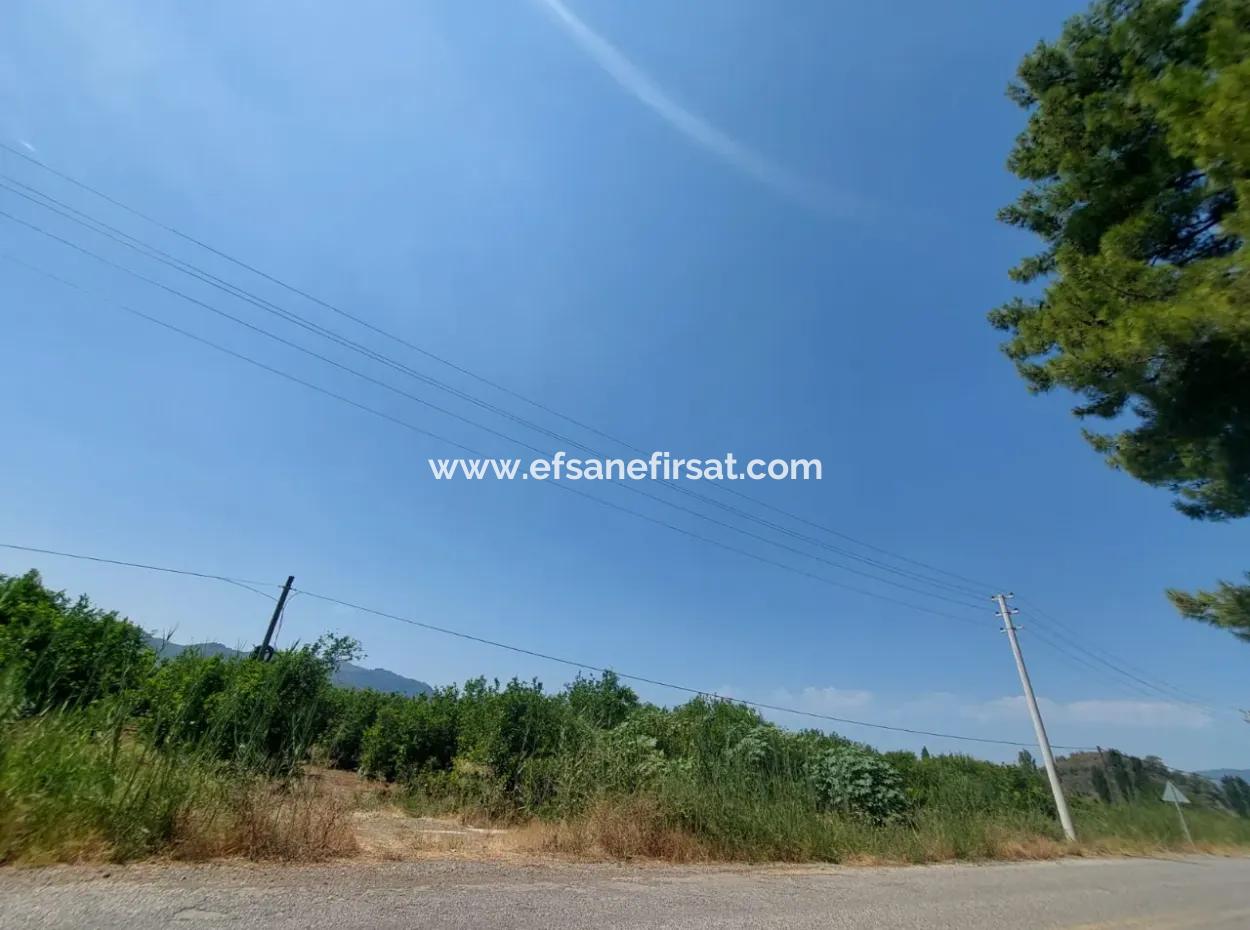Muğla Ortaca Ekşiliyurtta Yola Sıfır 7. 000 M2 Limon Bahçesi Satılık
