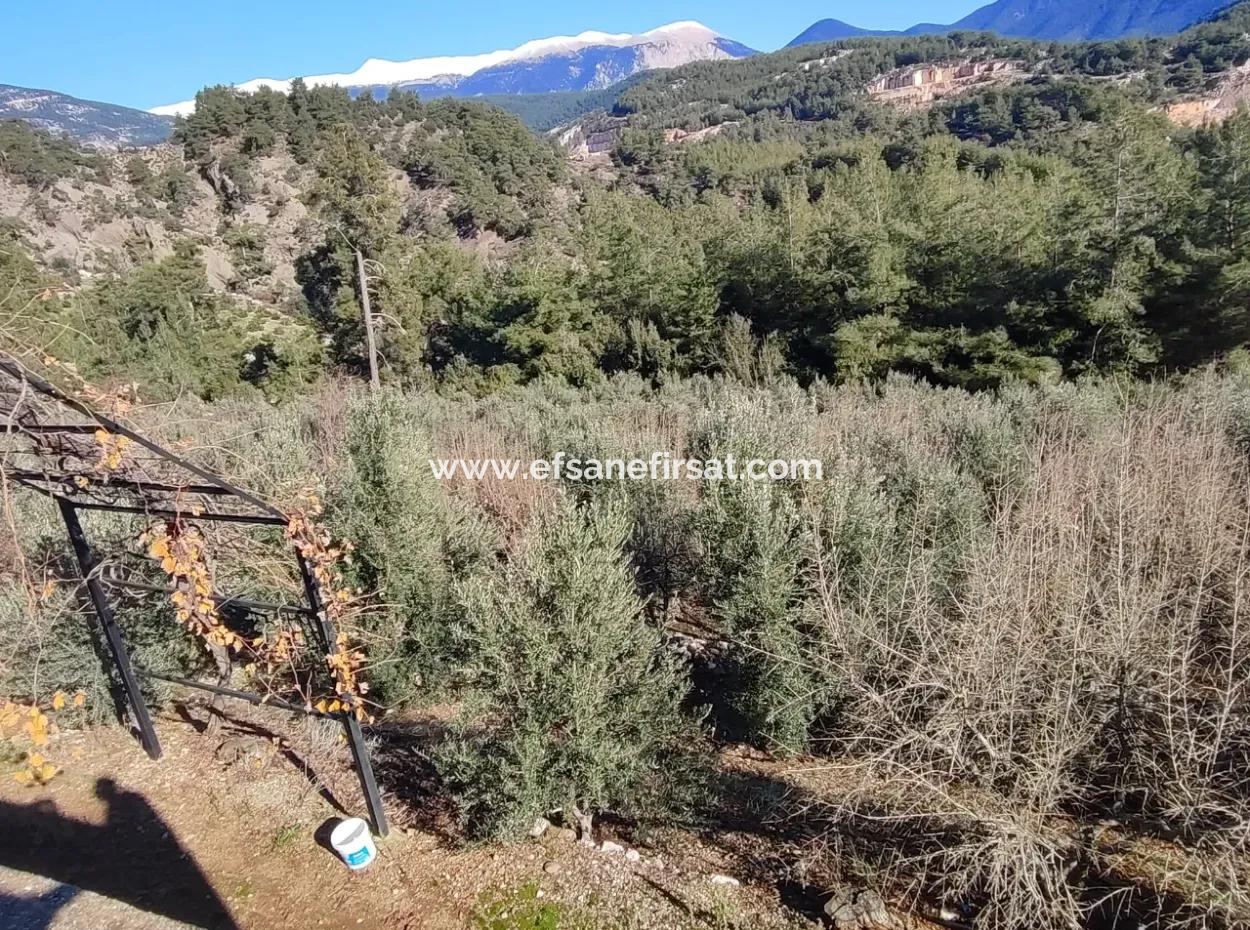 Antalya Finike Alacadağda Deniz Ve Doğa Manzaralı 8500 M2 Arazide 120 M2, 3+1 Tek Katlı Ev Satılık