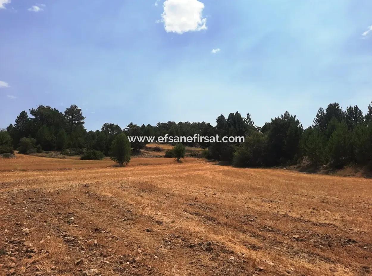 Çameli Gökçeyakada 3 Parsel Arazi Toplu Satılık