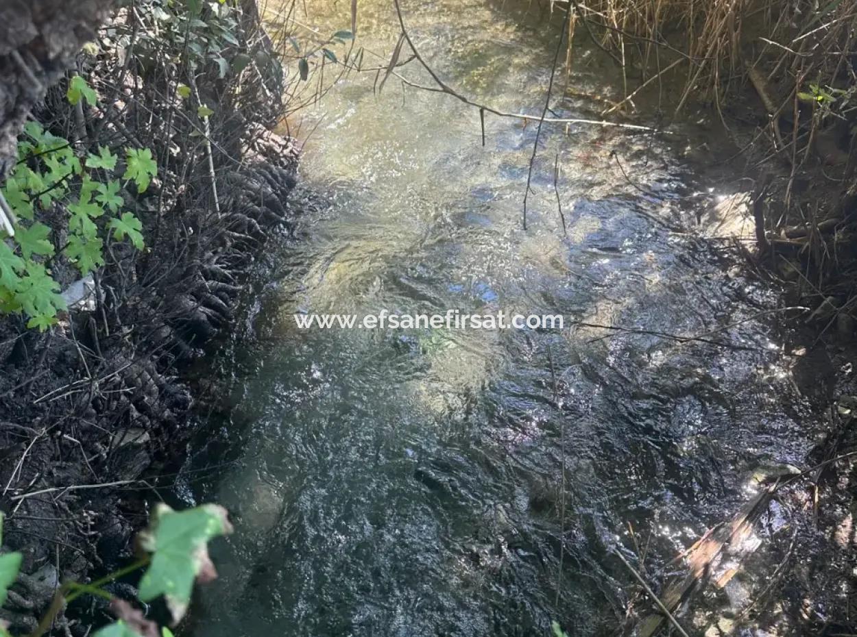 Dalyan Marmarlıda 3073 M2 Tarla Kiralık