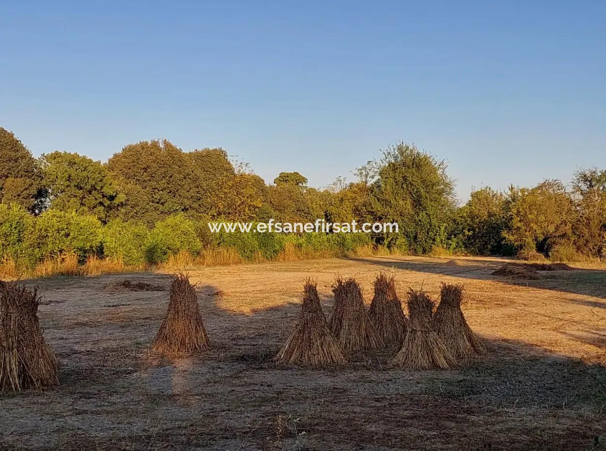 Muğla Ortaca Kemaliyede Ana Yola Sıfır 3 700 M2 Arazi Satılık