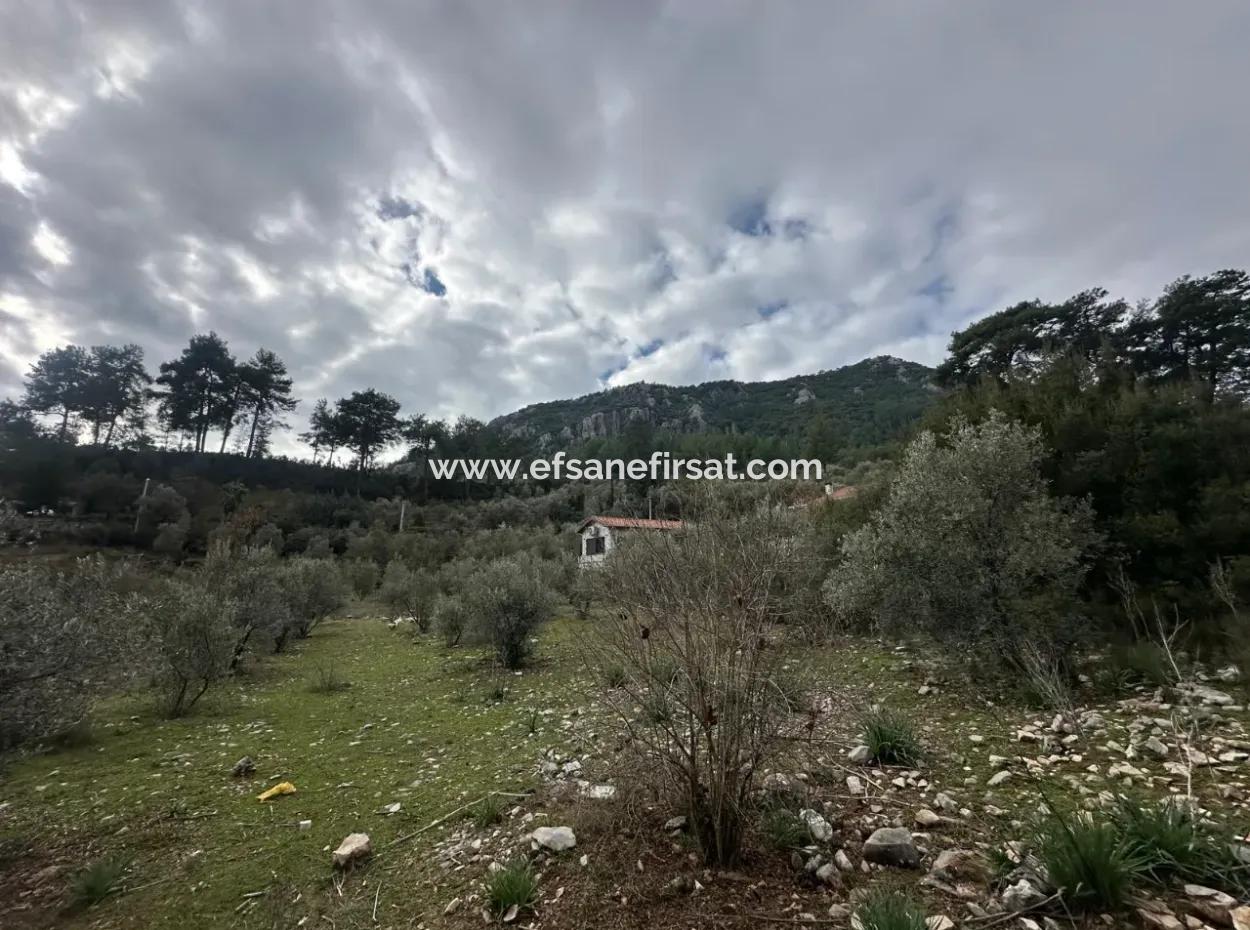 Fethiye Gökçeovacıkta Satılık 1709 M2