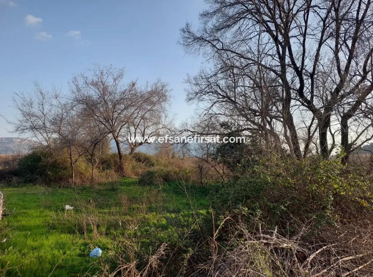 Köyceğiz Çandırda Göle Yakın 2585 M2 Müstakil Arazi Satılık