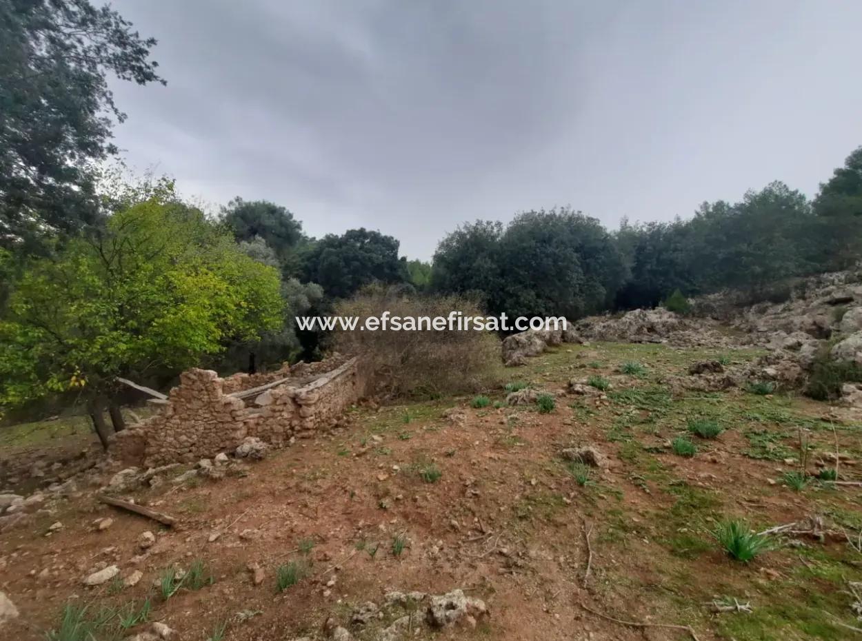 Muğla Dalyan Gökbelde Doğa İçinde 24.000 M2 Müstakil Arazi Satılık