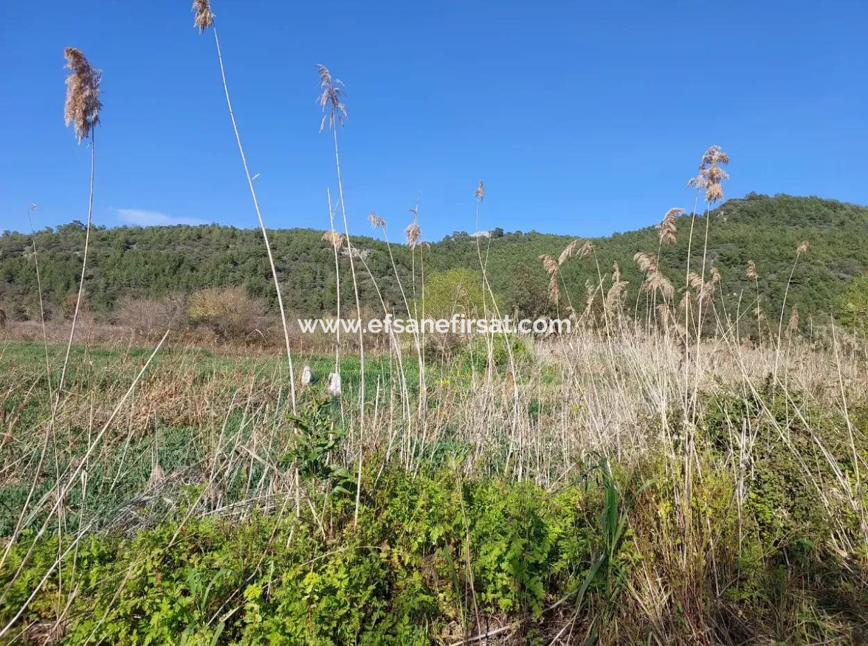 Muğla Ortaca Güzelyurtta Satılık Verimli 6.350 M2 Arazi