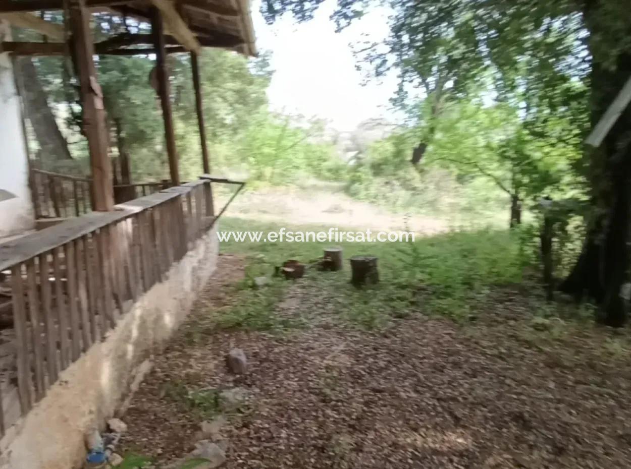 Muğla Menteşe Yaraş'ta Köy İçinde İmarlı 1228 M2 Arsa Ve Kargır Ev Satılık.   