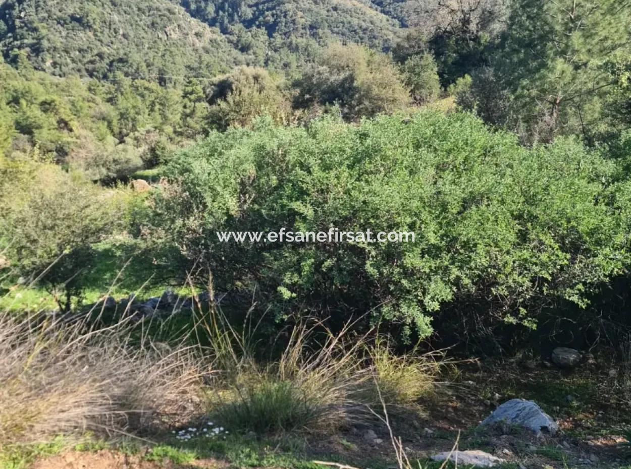 Fethiye İnlice'de Deniz Manzaralı 15.000 M² Müstakil Arazi Satılık