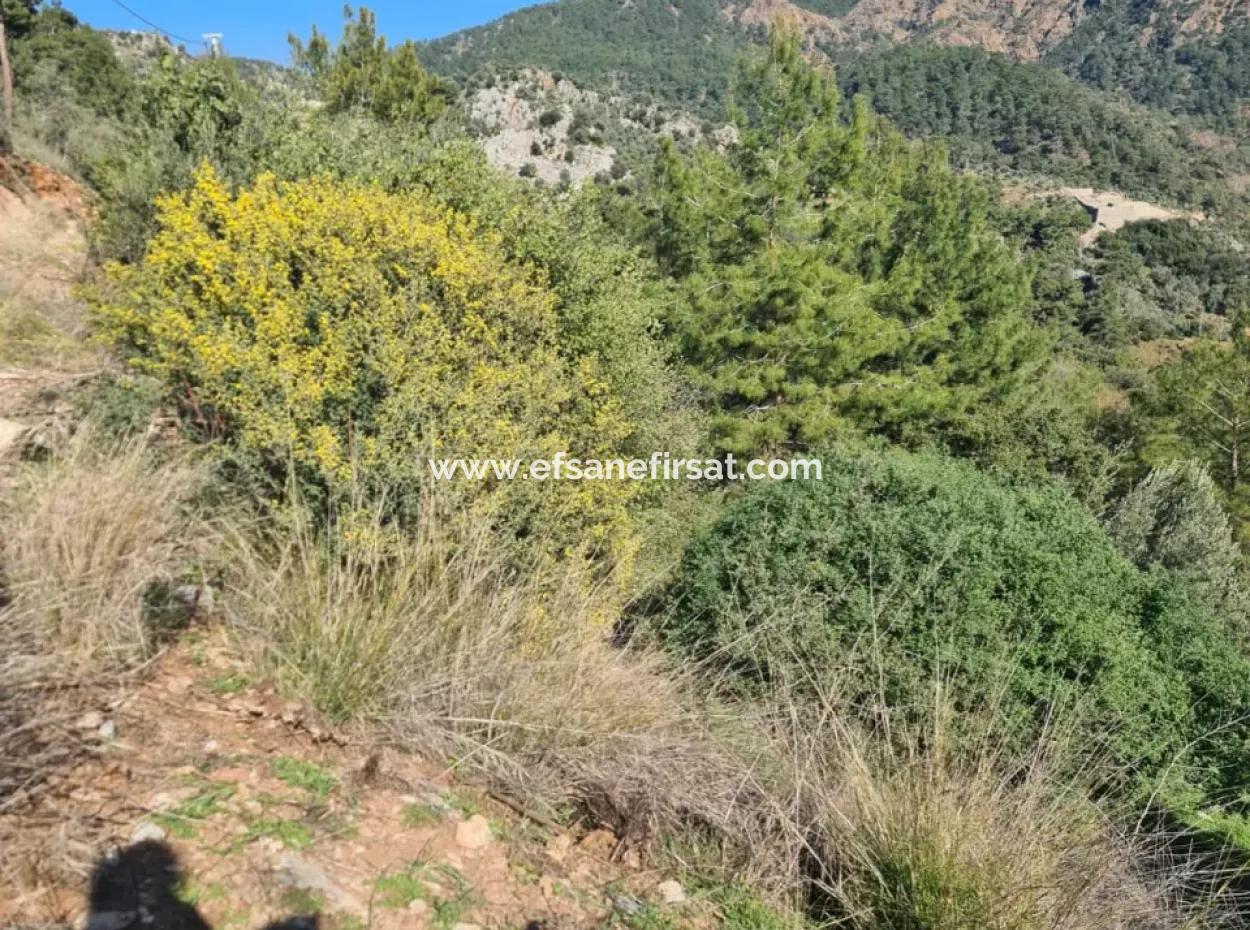 Fethiye İnlice'de Deniz Manzaralı 15.000 M² Müstakil Arazi Satılık