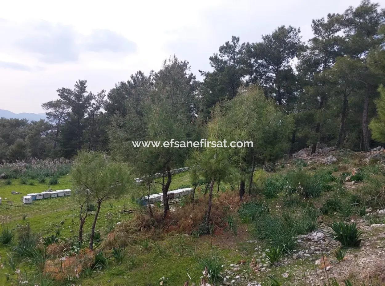 Dalaman Gürköyde 3.500 M2 Deniz Manzaralı Müstakil Arazi Satılık