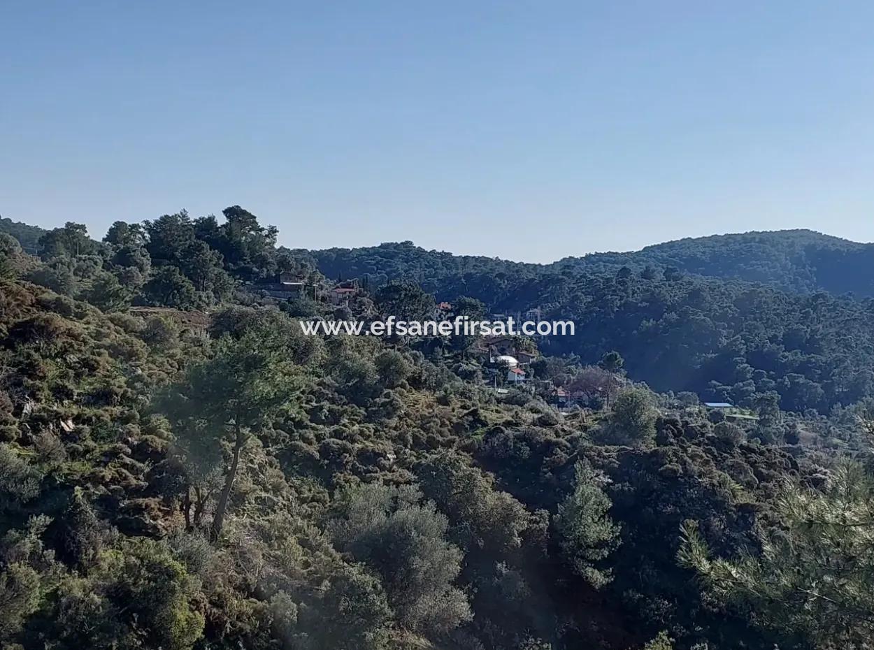 Ortaca Gökbelde Müstakil Tapulu Deniz Manzaralı 5.216 M2, 2B Arazi Satılık