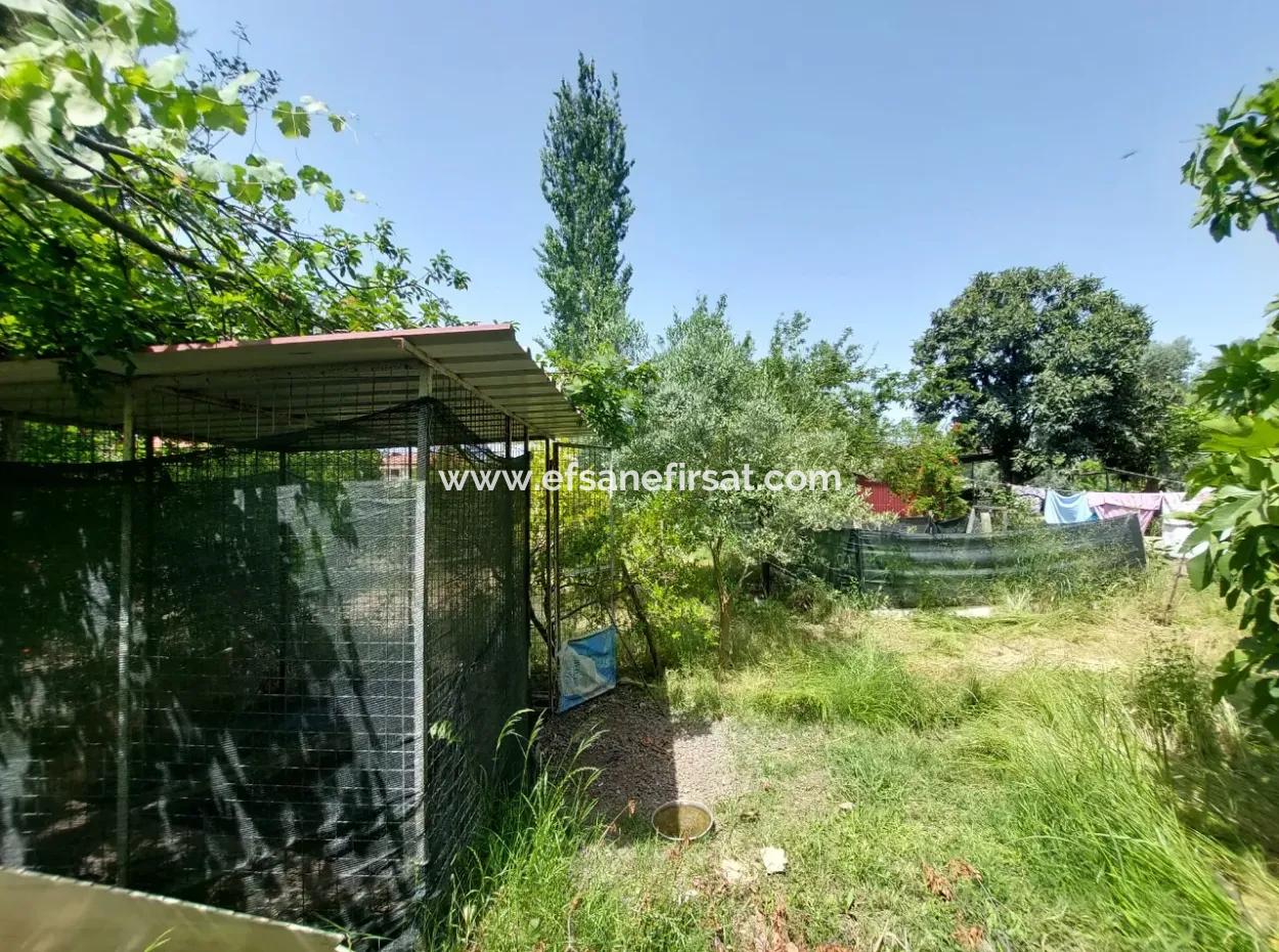 Ortaca Kemaliyede  Rızai Taksimli 500 M2 Arazi Acil Satılık