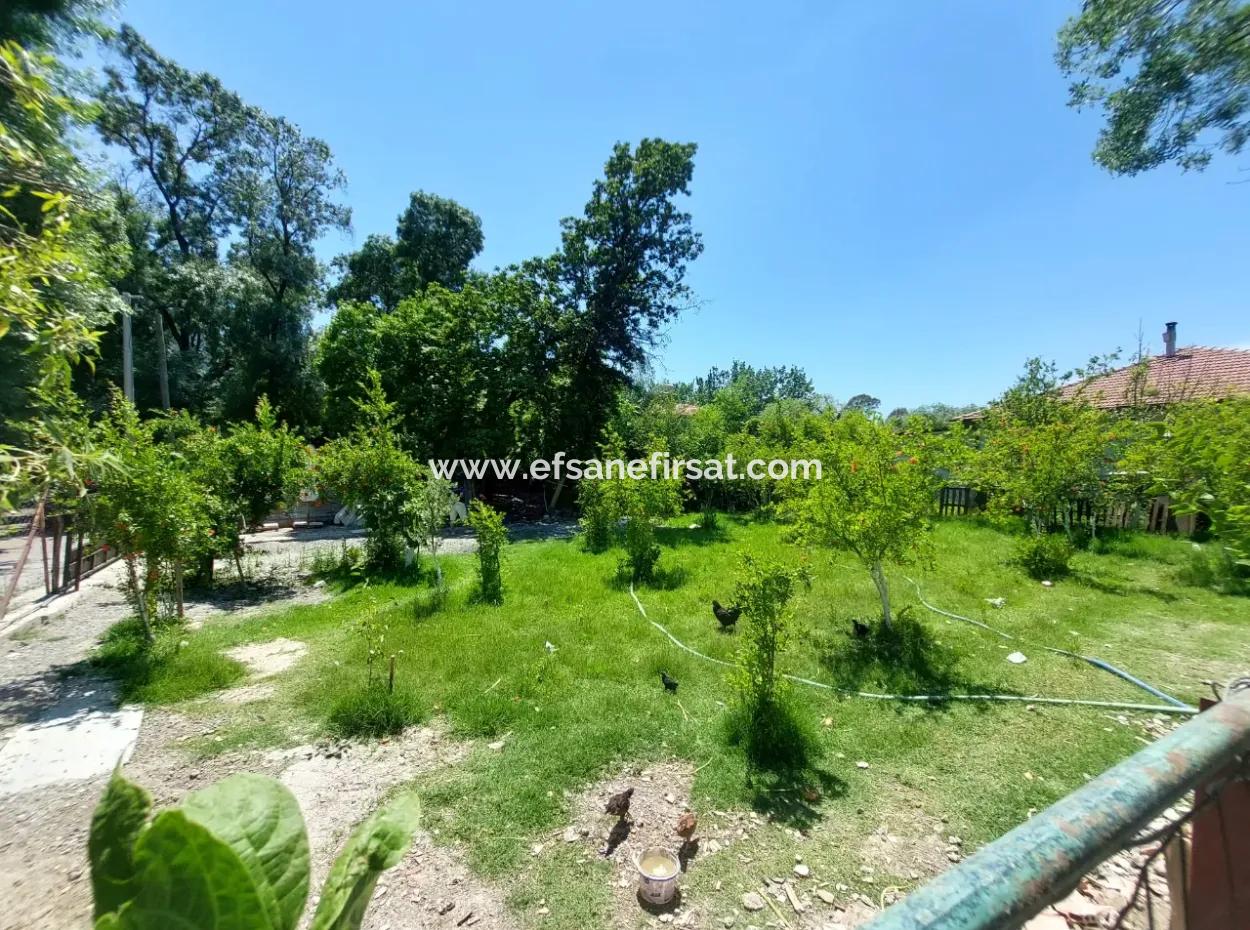 Muğla Dalyanda 600 M2 Hazine Arazide 110 M2  Köy Evi Satılık