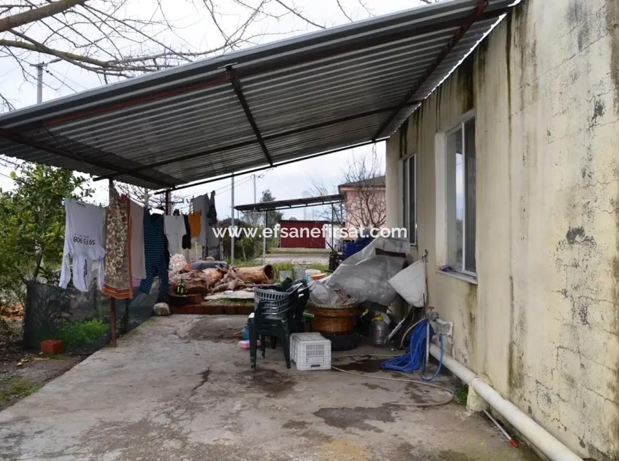 Güzelyurt Ta Satılık Müstakil Köy Evi