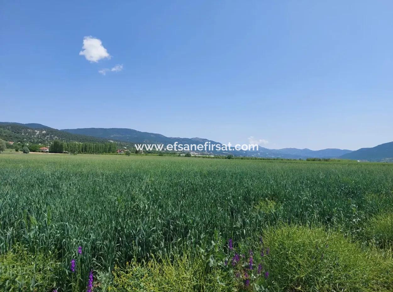 Çameli Bıçakçıda Satılık Kelepir Arazi  5,333 M2 Müstakil Tapulu Satılık