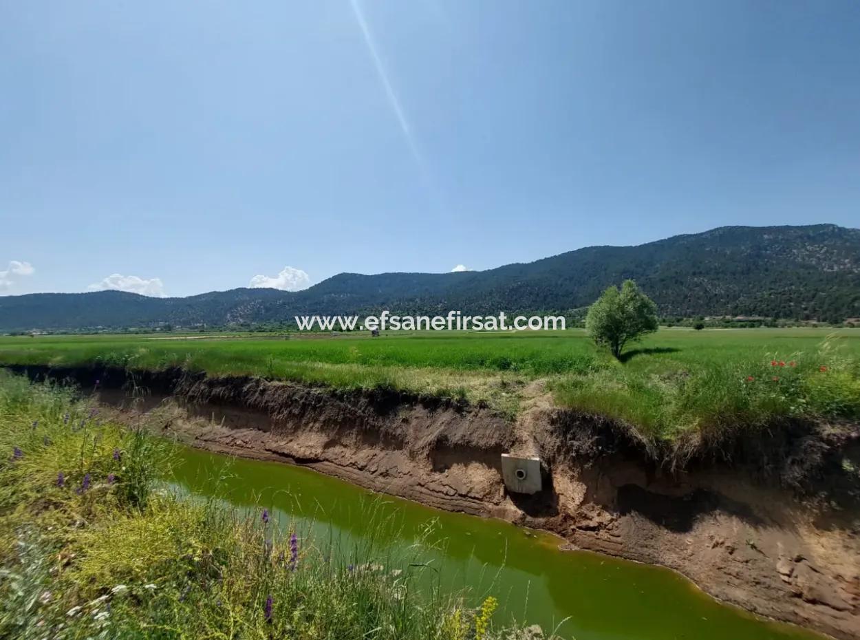 Çameli Bıçakçı’da Satılık Kelepir Arazi – 5.333 M² Müstakil Tapulu