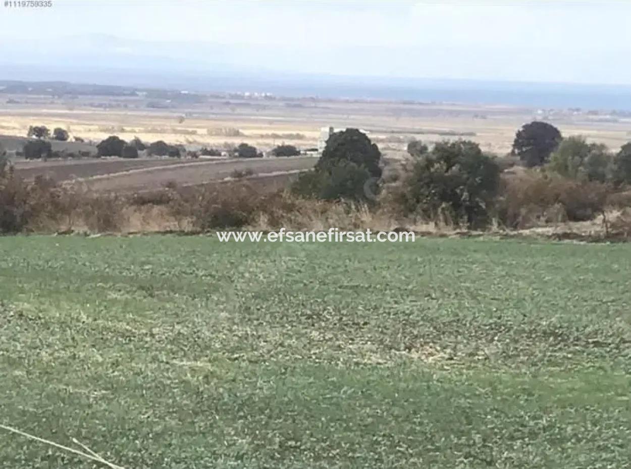 Çanakkale  Biga Koruobada Deniz Manzaralı Kelepir  9 715 M2 Müstakil Tapulu Verimli Arazi Satılık