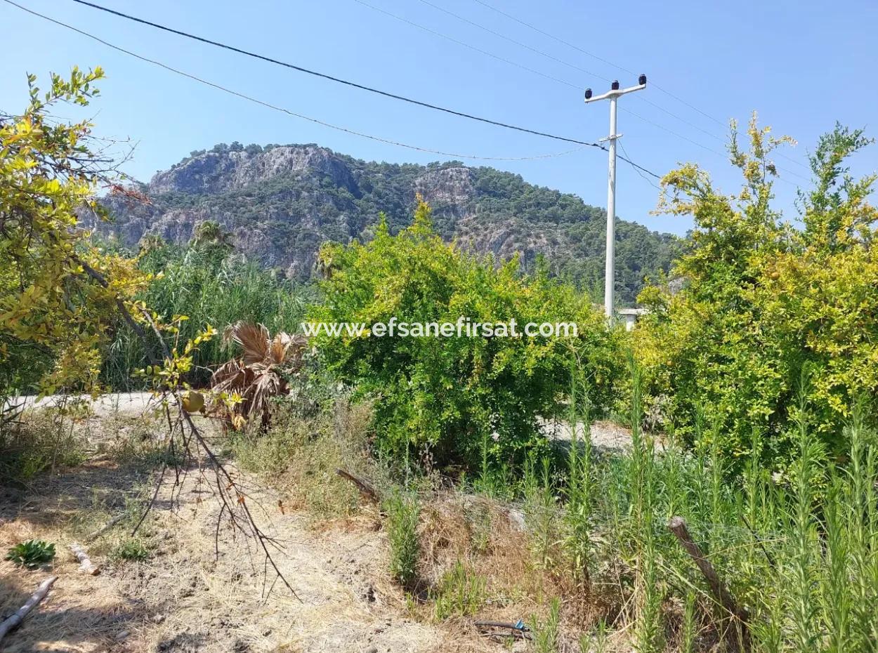 Muğla Dalyan'da İmara Sıfır, Dalyan Kanalına Yakın 2.800 M² Satılık Arazi