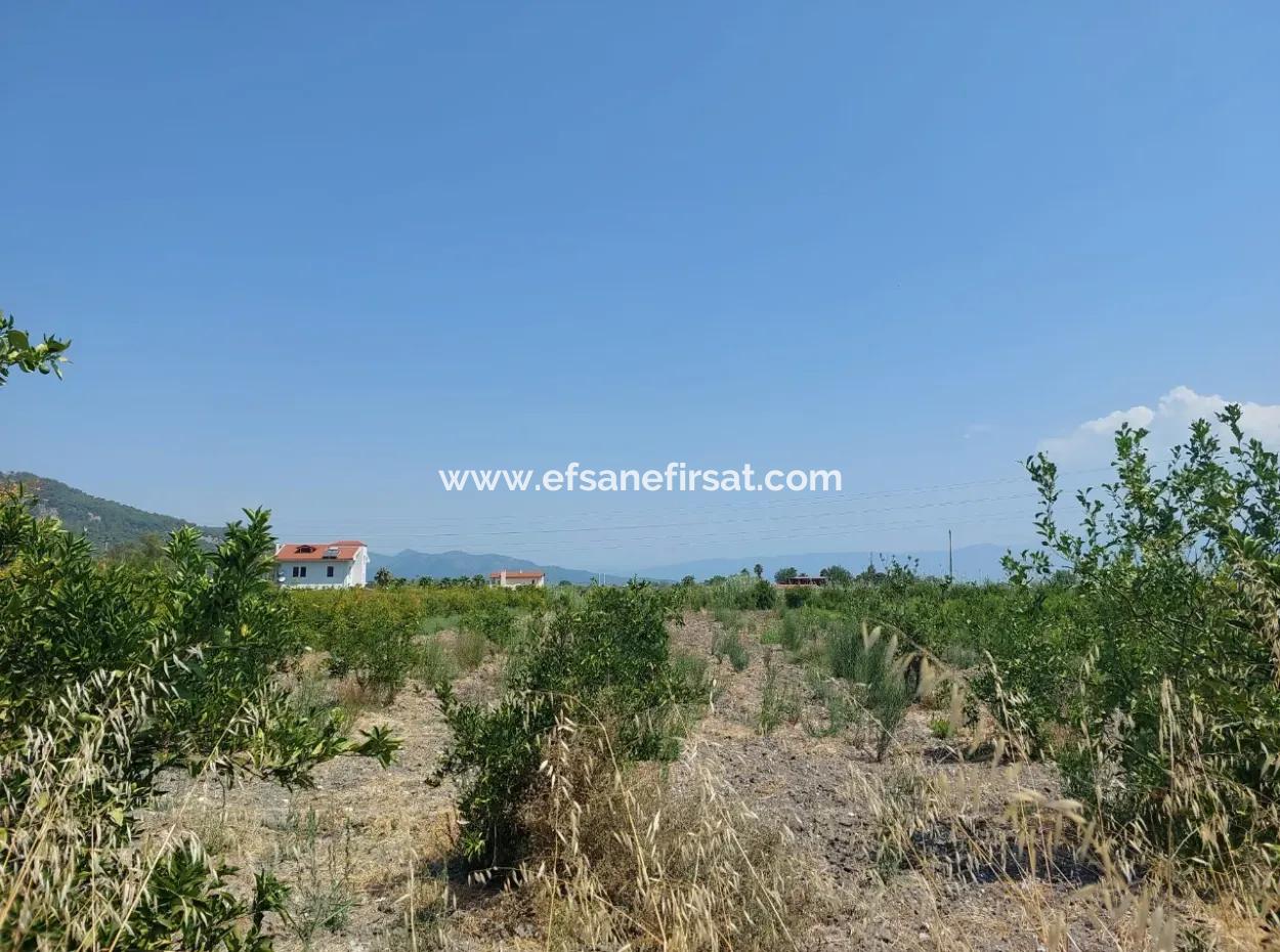 Muğla Dalyan'da İmara Sıfır, Dalyan Kanalına Yakın 2.800 M² Satılık Arazi
