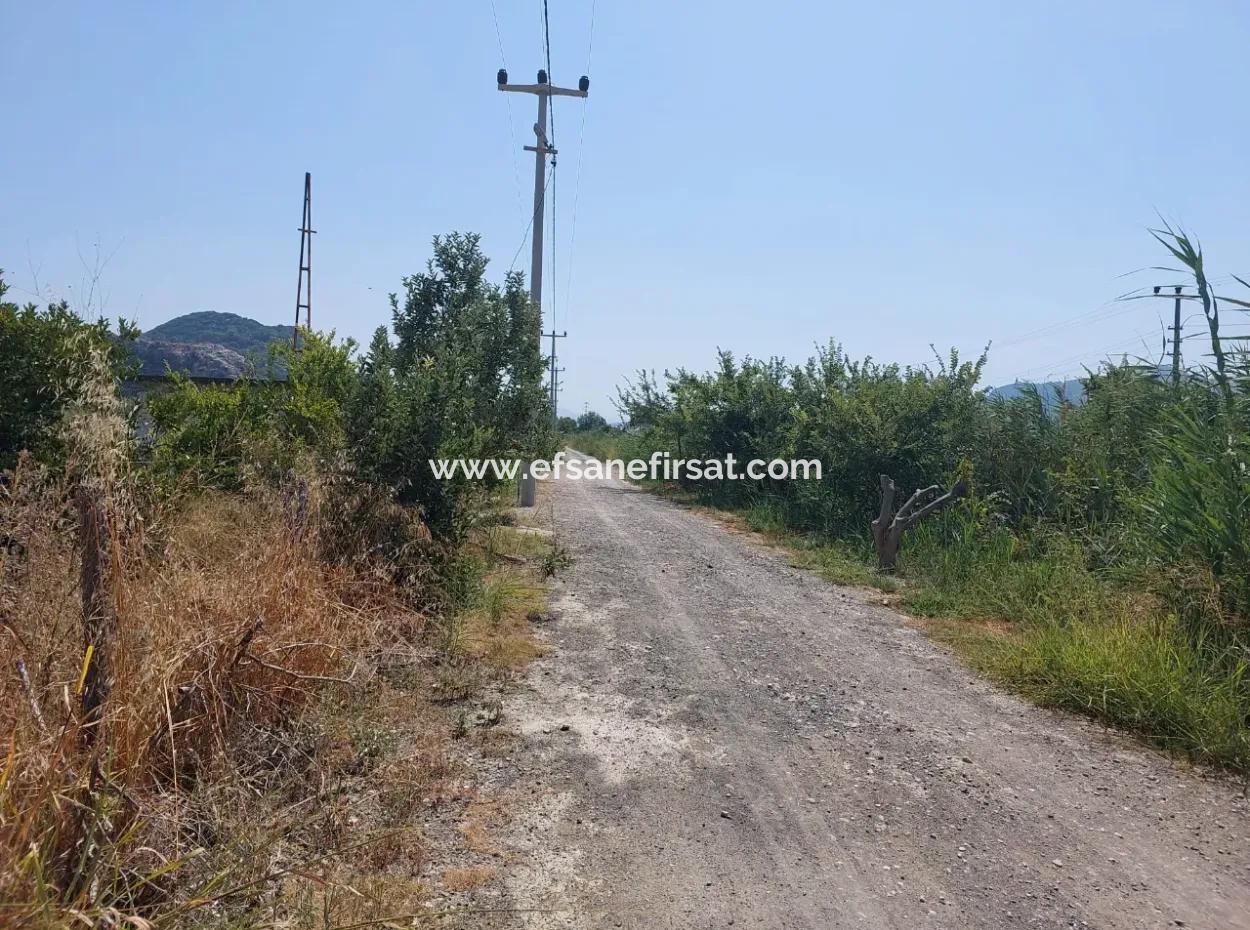 Muğla Dalyan'da İmara Sıfır, Dalyan Kanalına Yakın 2.800 M² Satılık Arazi