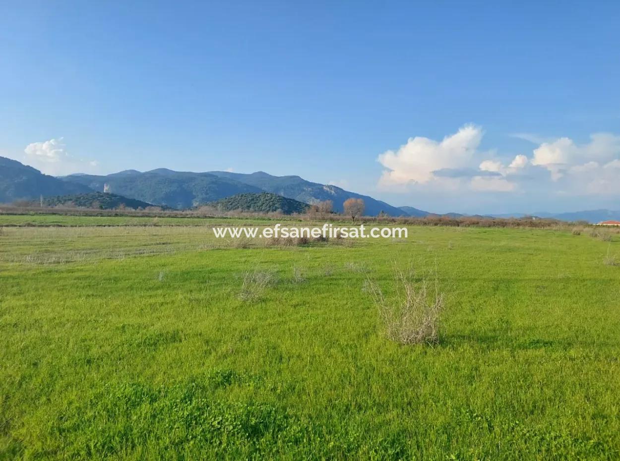 Ortaca Güzelyurt’ta 14.500 M² Verimli Arazi Uzun Süreli Kiralık – Hayvancılığa Uygun