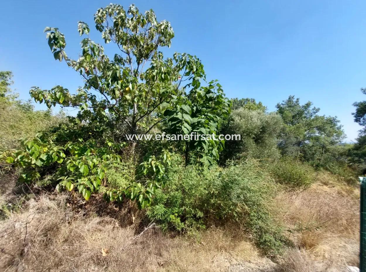 Ortaca Sarıgerme Deniz Manzaralı 2 225 M2 2 Müstakil Parsel Satılık