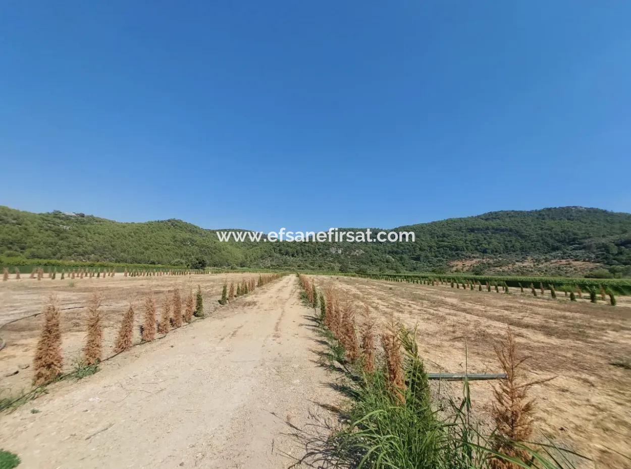 Ortaca Güzelyurt’ta Satılık Kooperatif Hisseleri – 270 M²