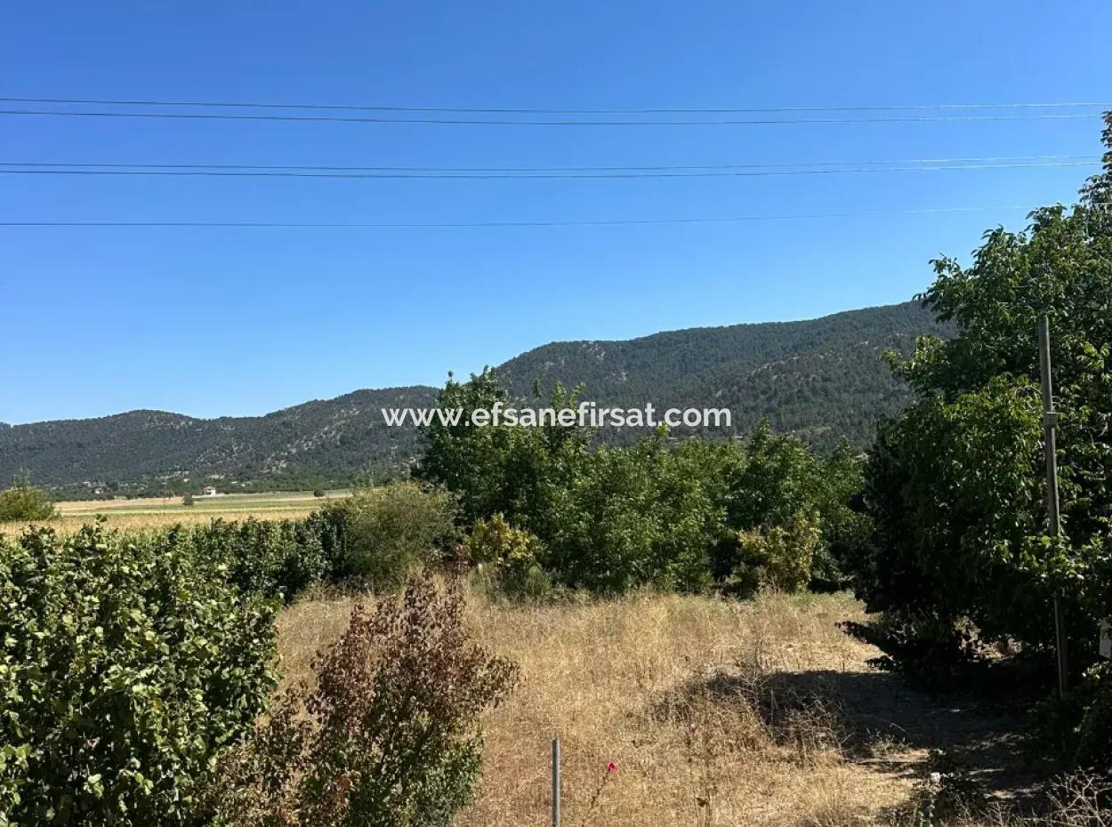 Denizli Çamelide Anayol Kenarı 3070 M2 Ceviz Bahçesi Satılık