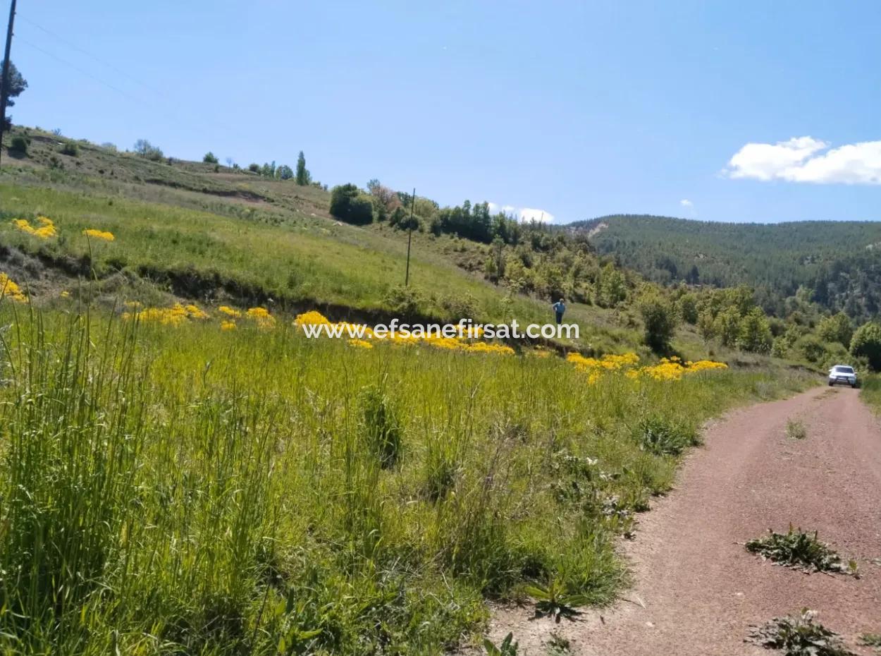 Çameli Kolakta Kelepir 20 000 M2 Müstakil Tapulu Arazi Satılık Veya Takas Olur.