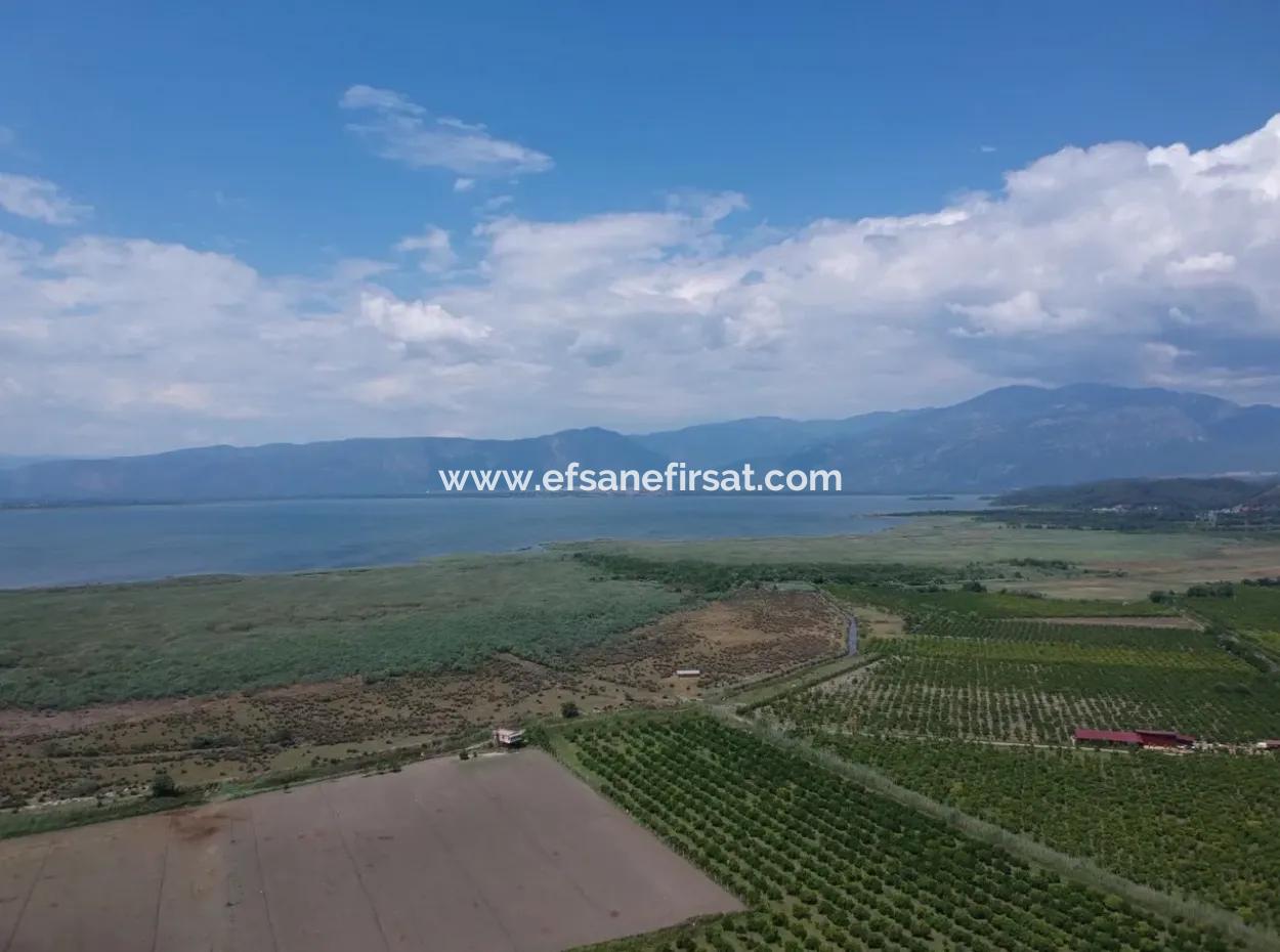 Ortaca Tepearası Nda 13 700 M2 Kelepir Arazi Satılık