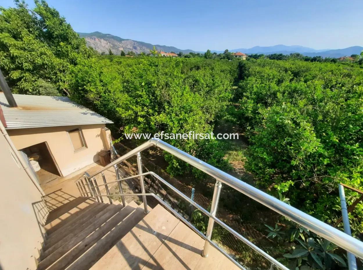 Muğla Ortaca Güzelyurt Ta 2+1 Eşyalı Daire Kiralık