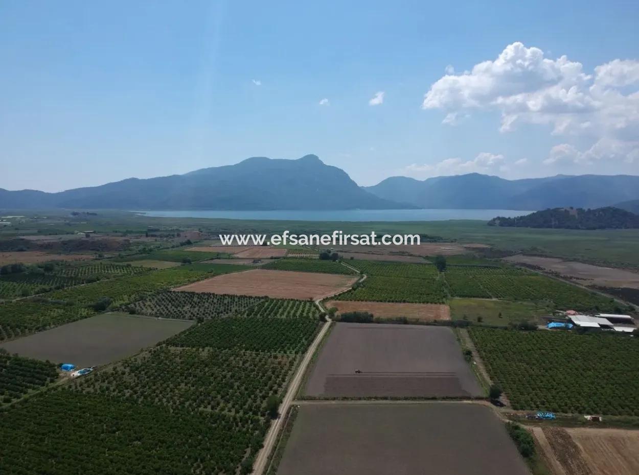 Ortaca Tepearası Nda 13 700 M2 Kelepir Arazi Satılık