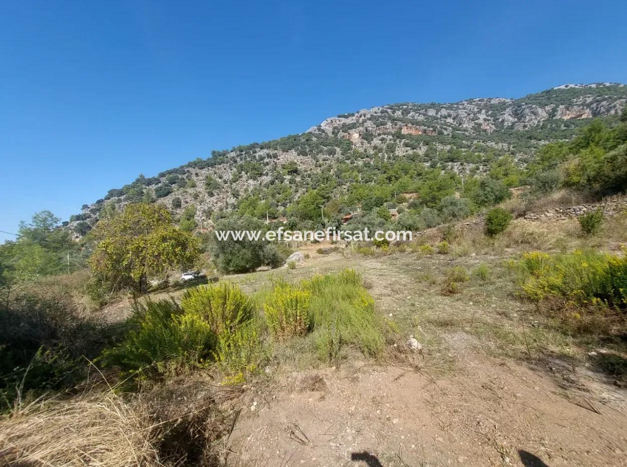 Ortaca Gökbel De Göle Yakın 400 M2 Arazi Devren Satılık