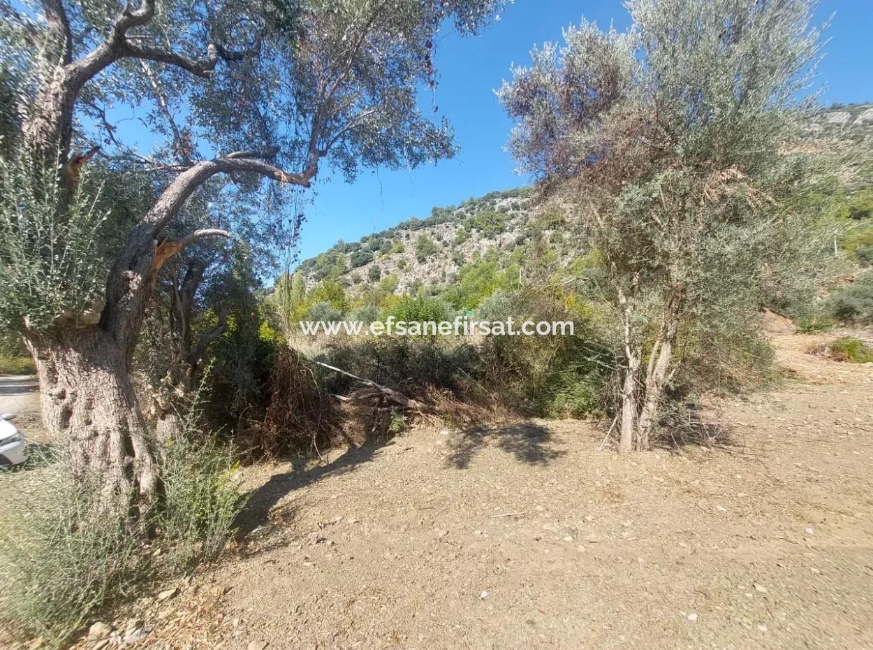 Ortaca Gökbel De Göle Yakın 400 M2 Arazi Devren Satılık