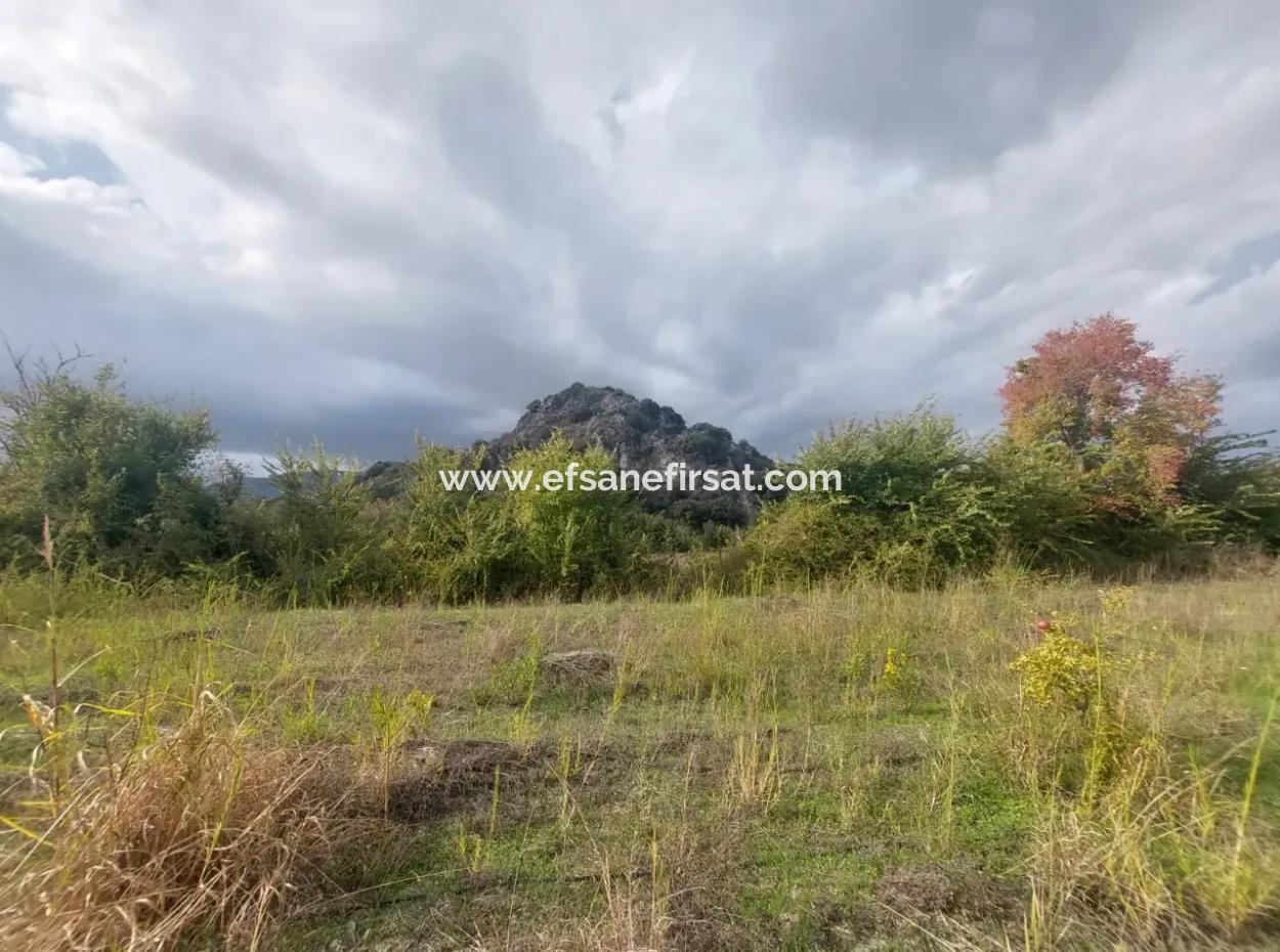 Mugla Dalyan Da Müstakil 15 000 M2, 250 M2 İnşaat Hakkı Olan Arazi Satılık
