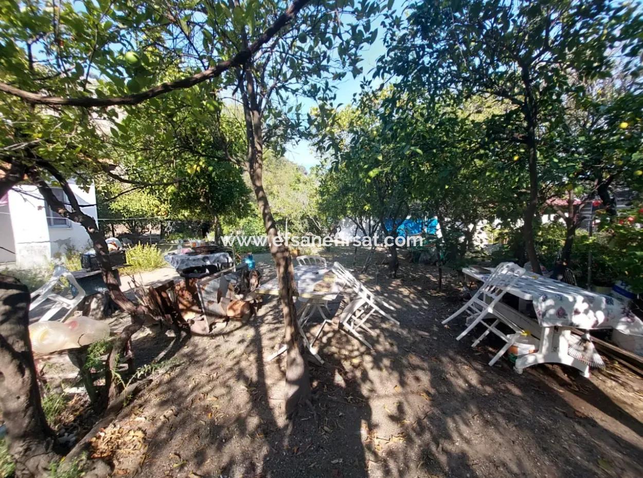 Köyceğiz Çandır Dalyan Kanalına Sıfır 865 M2 Ev Ve Restaurant  Satılık