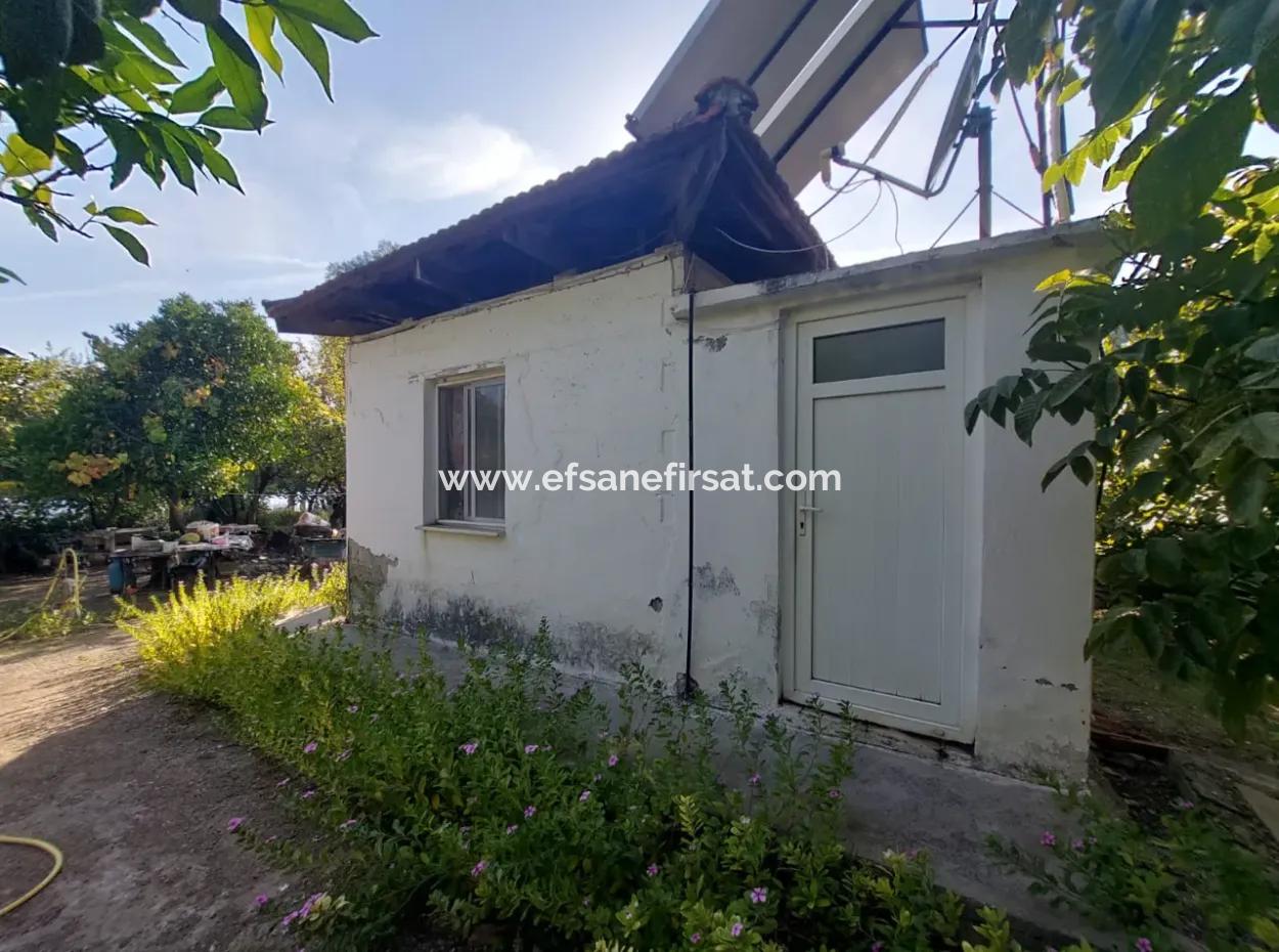 Köyceğiz Çandır Dalyan Kanalına Sıfır 865 M2 Ev Ve Restaurant  Satılık