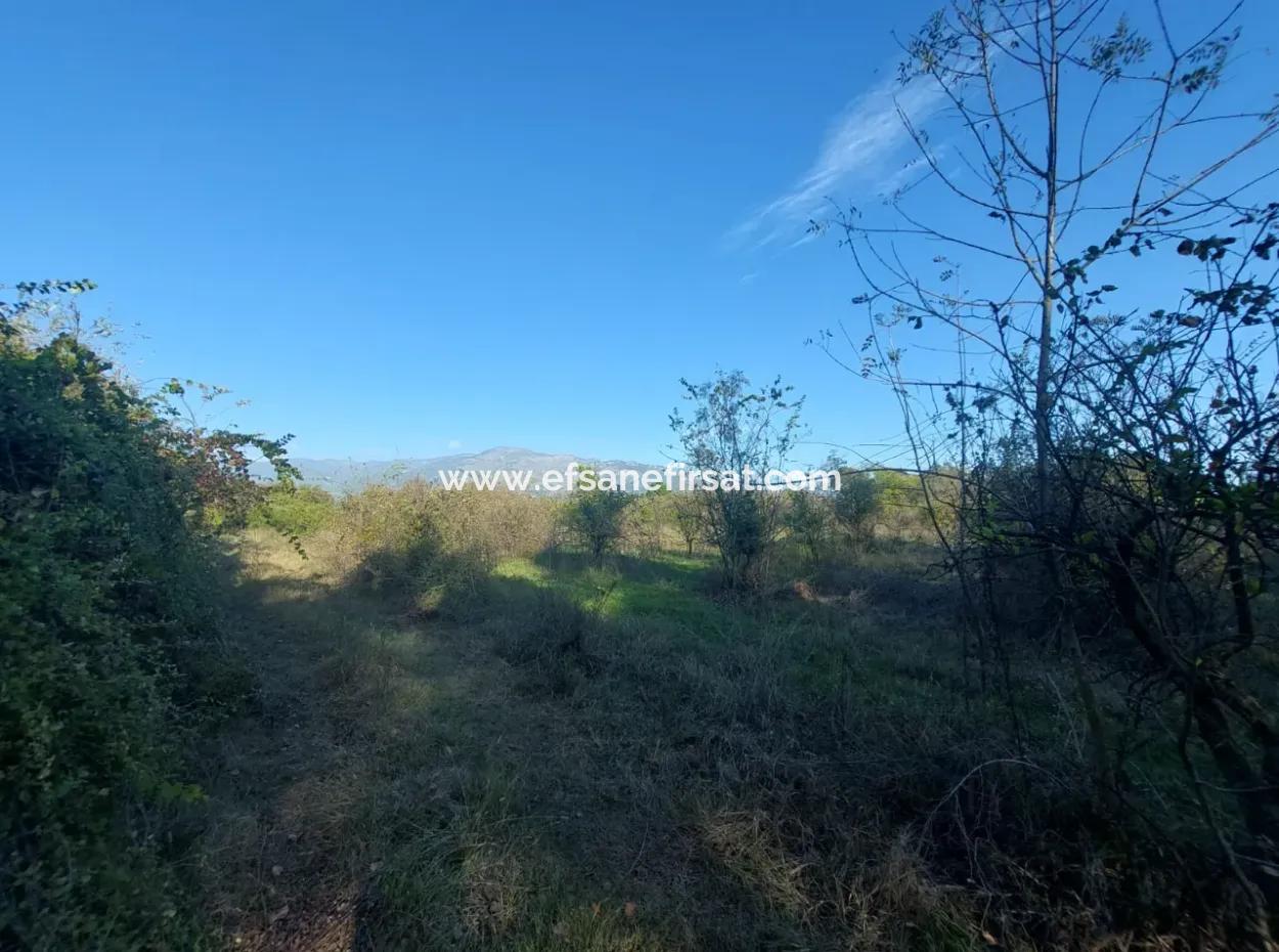 Köyceğiz Toparlar Da  Göle Yakın 9 600 M2 Arazi Satılık