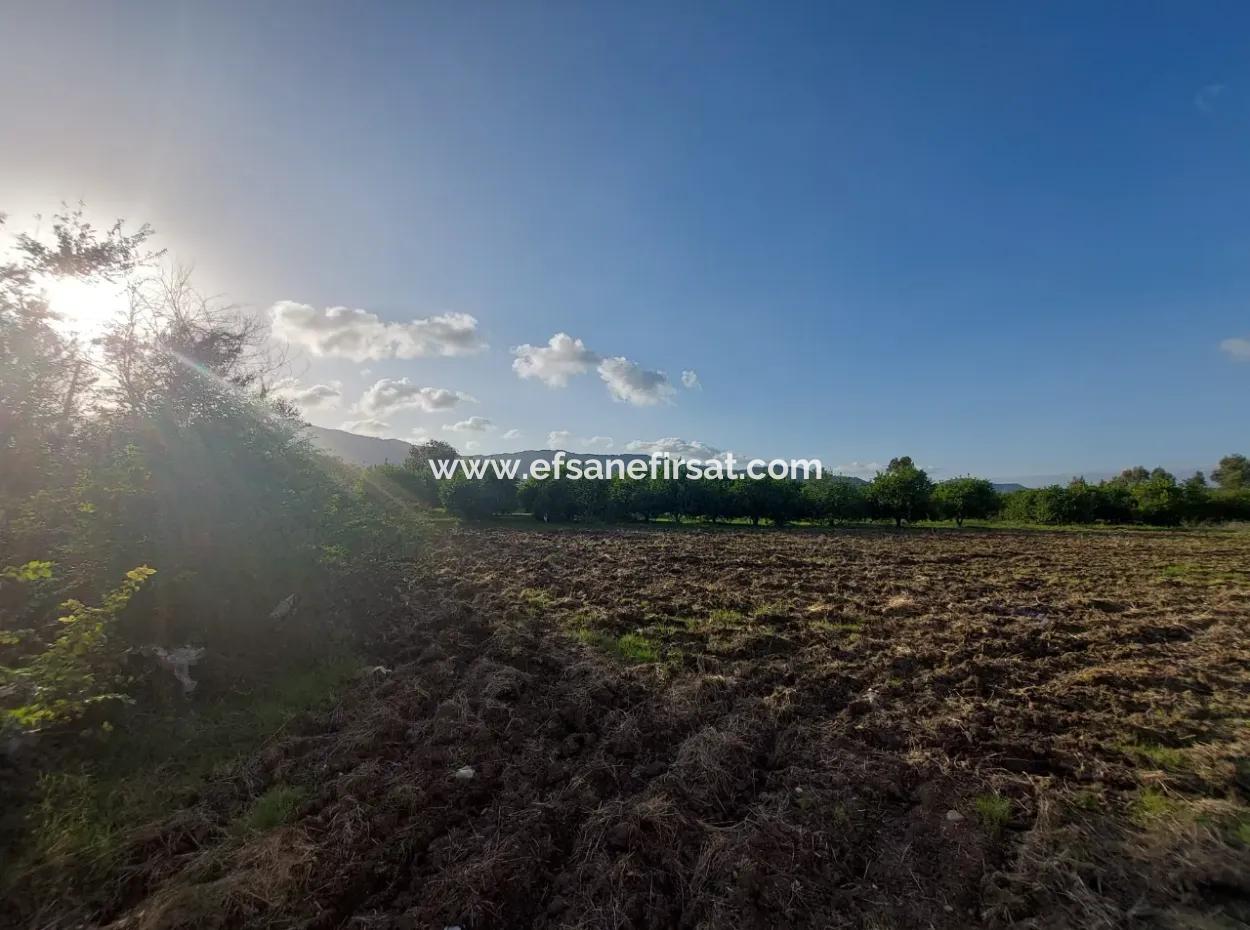 Muğla Ortaca, Dalaklı 2.000 M2, 400 M2 İnşaat Hakkı Olan  Satılık Konut İmarlı Arsa