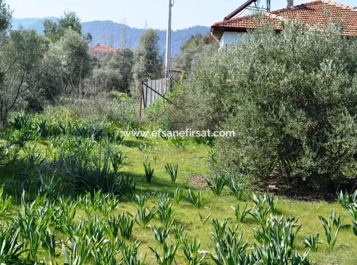 Ortacada Satılık Kelepir Villa Arsası