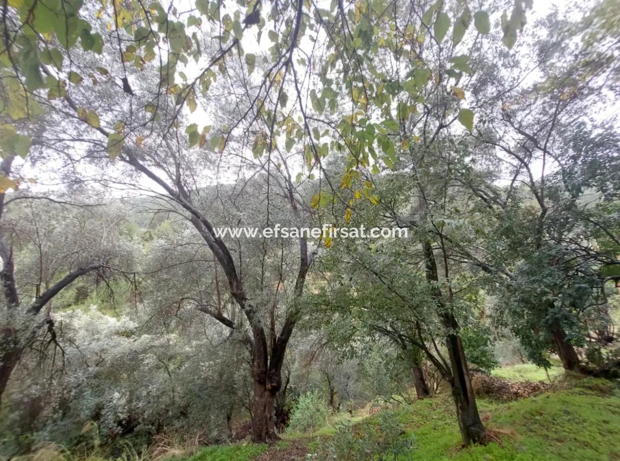 Muğla Fethiye İnlice’de Doğa İçinde Satılık Tapulu Köy Evi