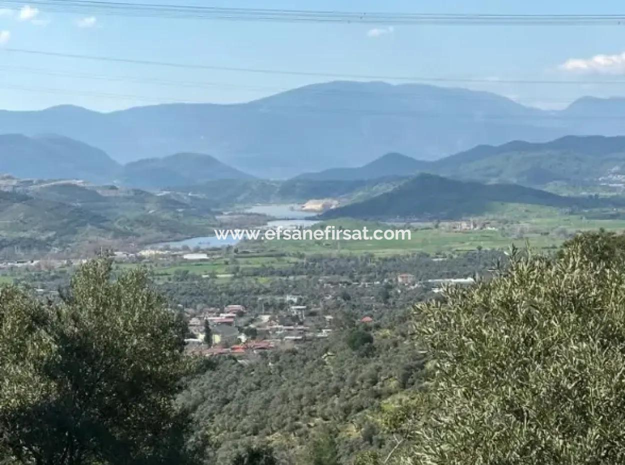 Muğla Milas Da 5 800 M2 Tek Tapu Müstakil Parsel Arazi Satılık