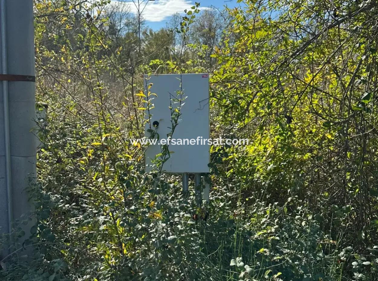 Ortaca Yeşilyurt Da 12 000 M2 Tarla Satılık