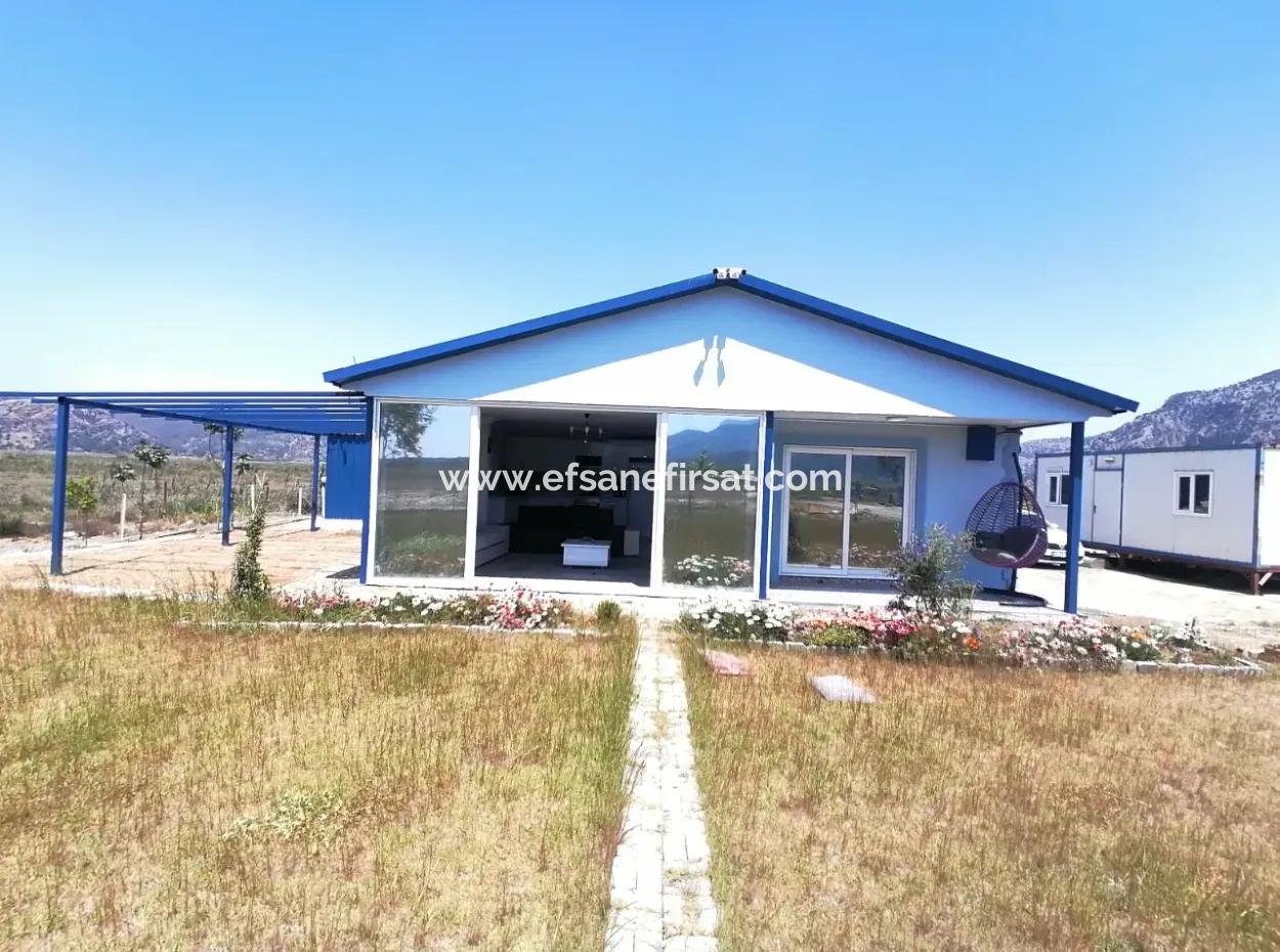 Dalyan Da 1200 M2 Müstakil Arazide 2+1 110 M2 Kullanım Alanı Olan Kelepir Ev Satılık