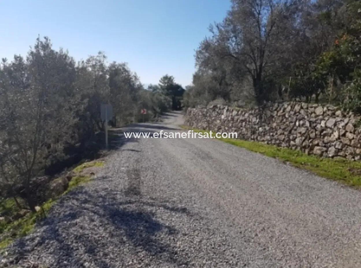 Göcek Gökçeovacıkta Satılık Deniz Manzaralı Arazi